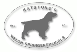 Hatstone's Logo