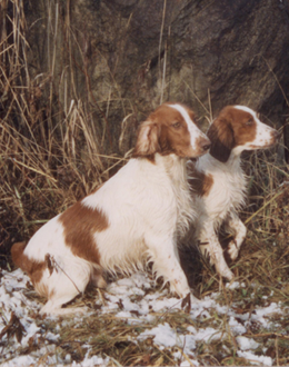 Oscar and Olga