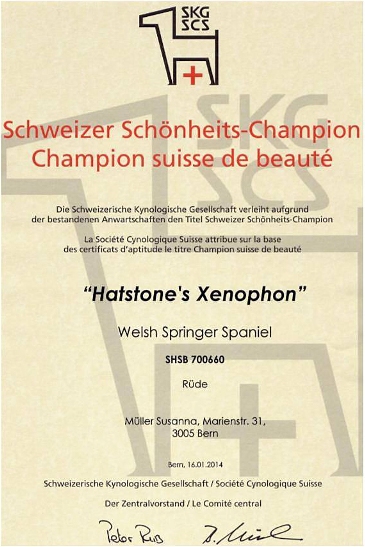 Splash Schweizer Schönheits-Champion