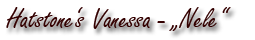 Hatstone's Vanessa - Nele